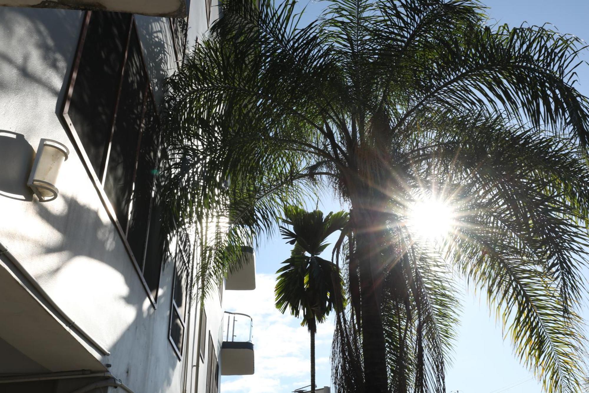 Tropical Plaza Apt Нади Екстериор снимка
